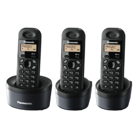 Điện thoại kéo dài Panasonic KX-TG1313