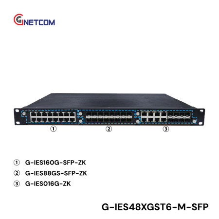 G-IES48XGST6-M-SFP