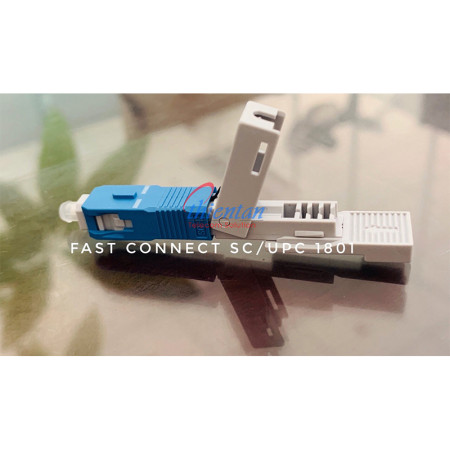 Đầu nối quang nhanh fast connector SC/UPC 1801