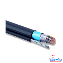 Cáp điện thoại 10 đôi (10x2) dùng chạy ngoài trời