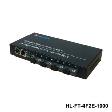 HL-FT-4F2E-1000