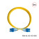 Dây nhảy quang Single Mode duplex 3m HO-LINK HL-SC-SC-DX3