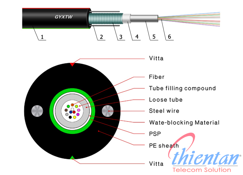 cấu  tạo cáp quang multimode 4FO OM2 GYXTW outdoor