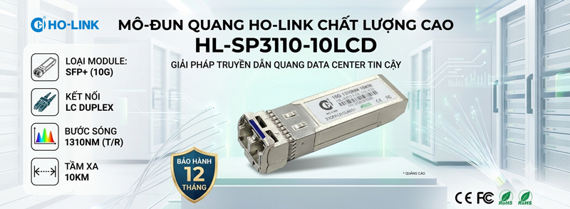 HL-SP3110-10LCD