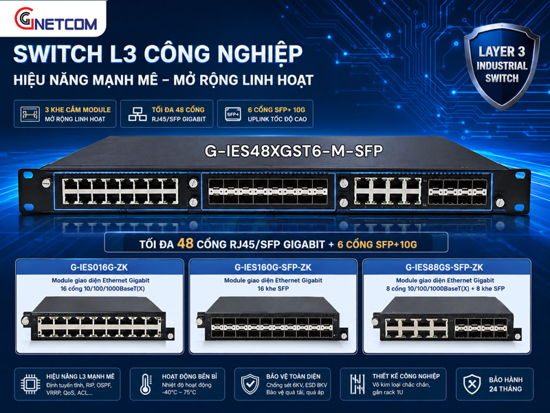 G-IES48XGST6-M-SFP