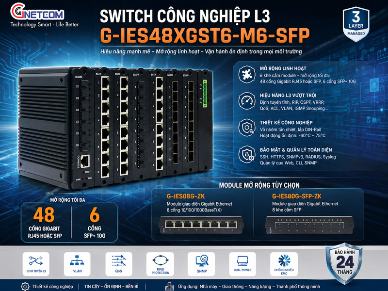 G-IES48XGST6-M6-SFP G-IES48XGST6-M6-SFP
