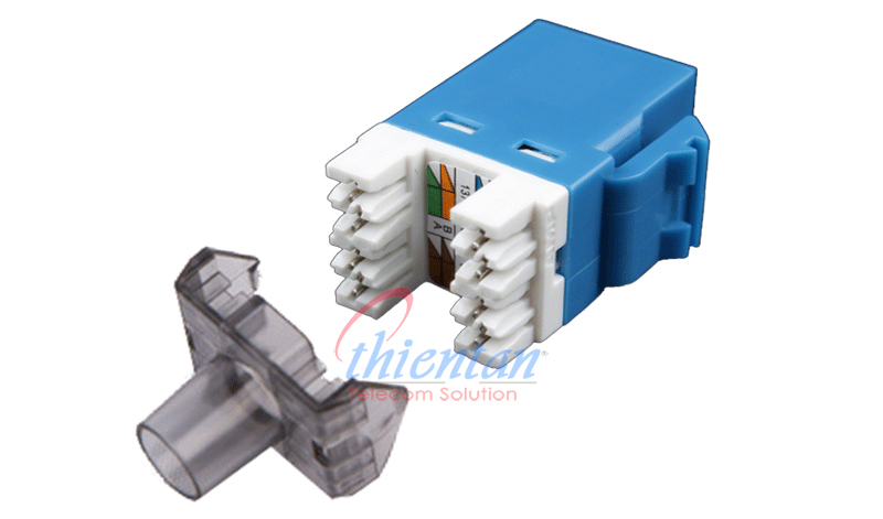 Nhan mang Cat6 Commscope 1375055-6 blue
