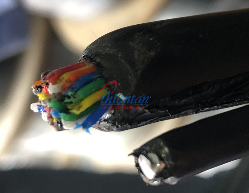 c&aacute;p điện thoại 20 đ&ocirc;i